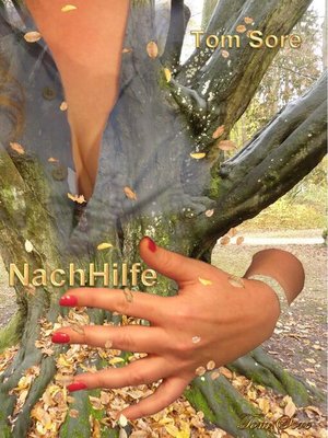 cover image of NachHilfe